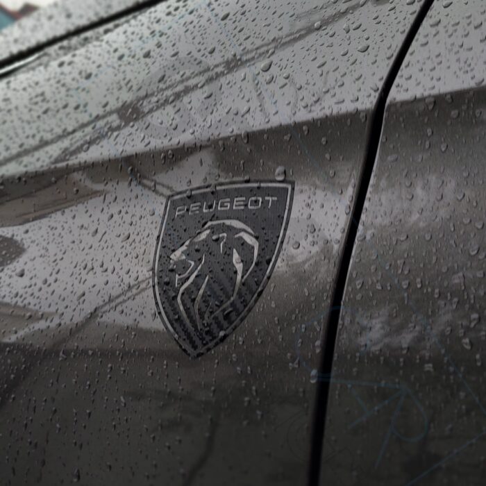 En Uygun Filtre - Yeni Peugeot Logo Sticker